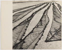 Nets of Mar del Plata's Fishermen 1956 Sameer Makarius 1924-2009 Presented by Karim Makarius 2011 http://www.tate.org.uk/art/work/P13171
